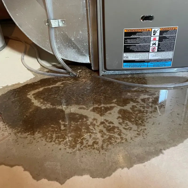 Pipe Burst and Leak Restoration in Aguada, PR