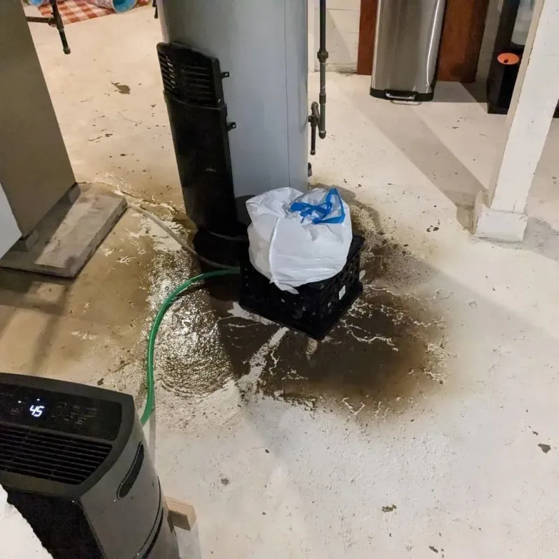 Sewage Backup Cleanup Service in Aguada, PR